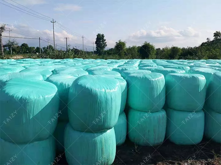 What are the benefits of green silage?